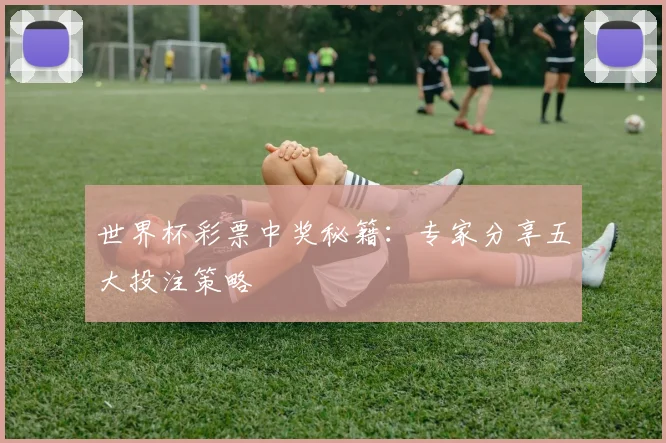 世界杯彩票中奖秘籍:专家分享五大投注策略